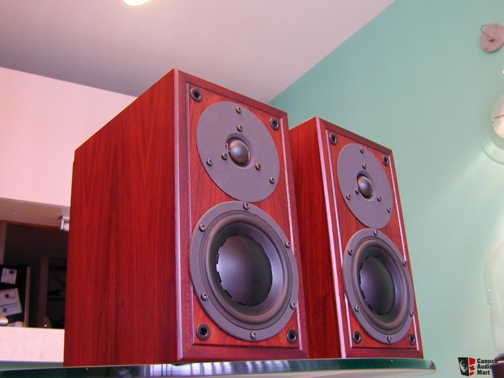 416799-dynaudio_micron_limited_edition.j