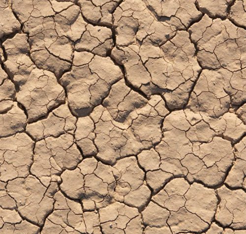 drought_wallpaper.jpg