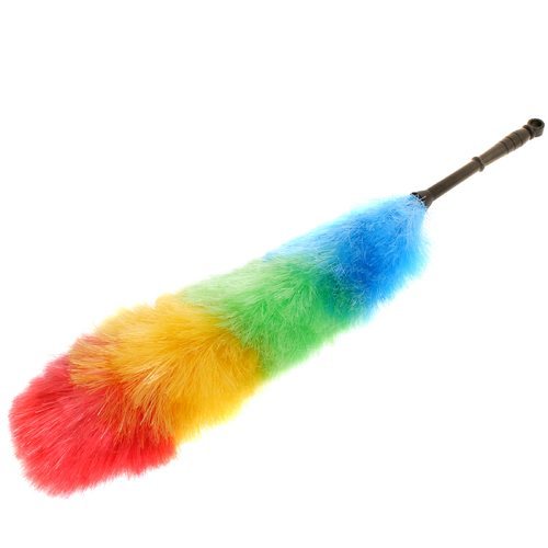 takoj-shhyotkoj-ochen-udobno-snimat-pyl-