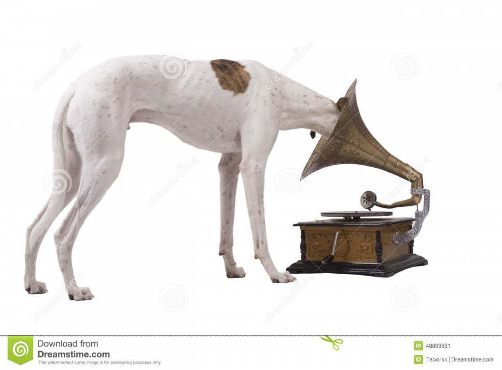 hund-und-altes-grammophon-48869881.jpg