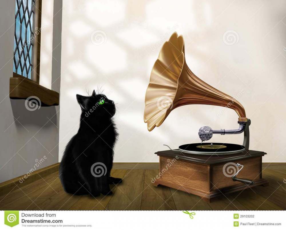 katze-mit-grammophon-29103202.jpg