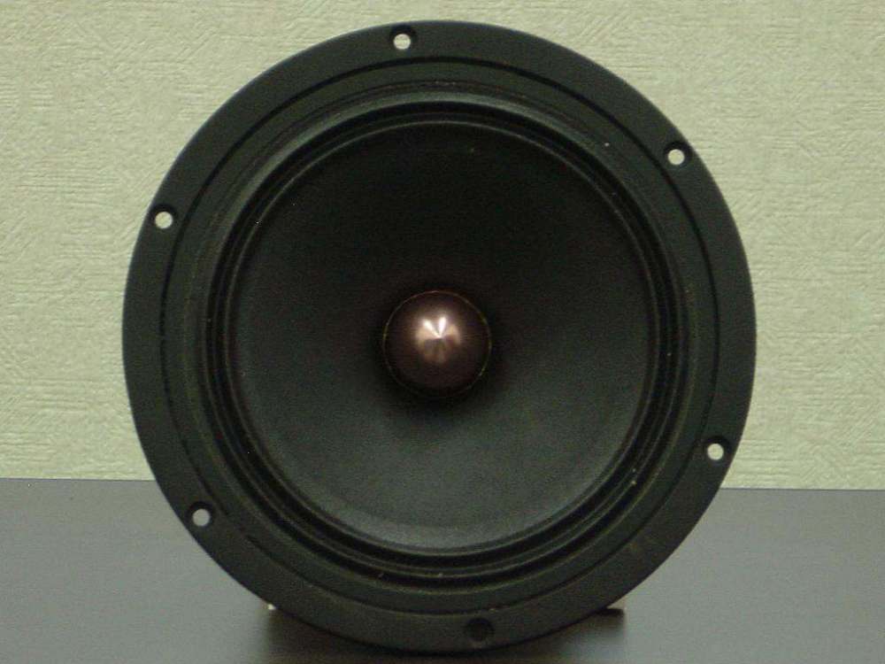 speaker12 (2).jpg