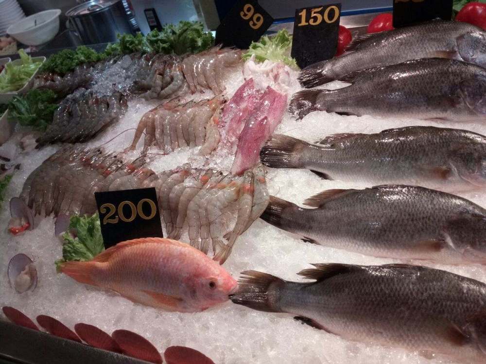 fish.jpg