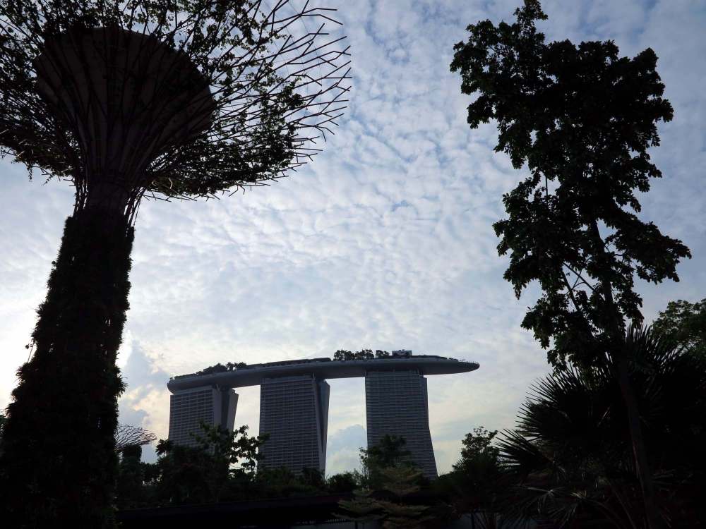 Сады Сингапура IMG_5833 - копия.jpg