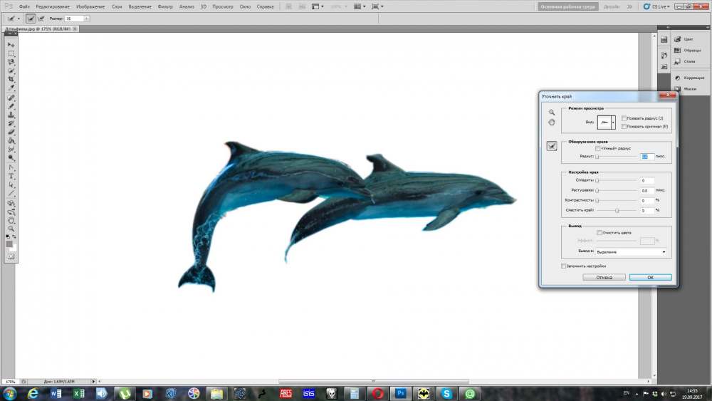 Дельфины 1.jpg