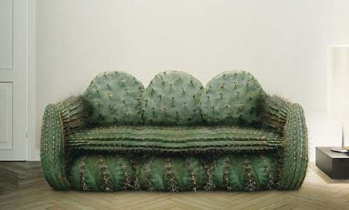 sofa-cactus.jpg.c890492d76092e55be607166771d50b7.jpg