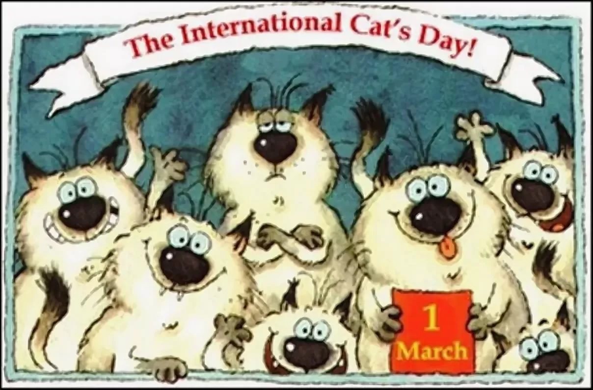 День котов 1 марта