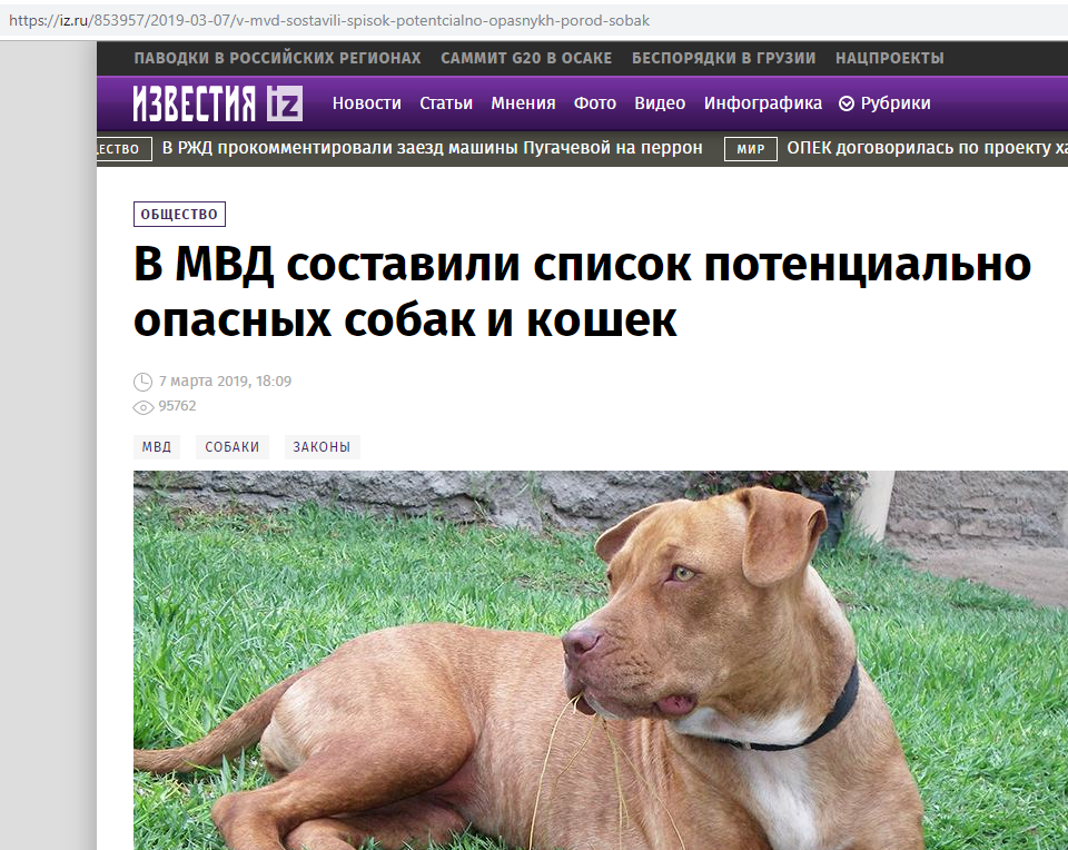 Потенциально опасные собаки в россии. Опасные породы собак список в РФ 2021. Потенциально опасные собаки 2021. Список опасных пород собак в России 2023. Список опасных пород собак 2021.