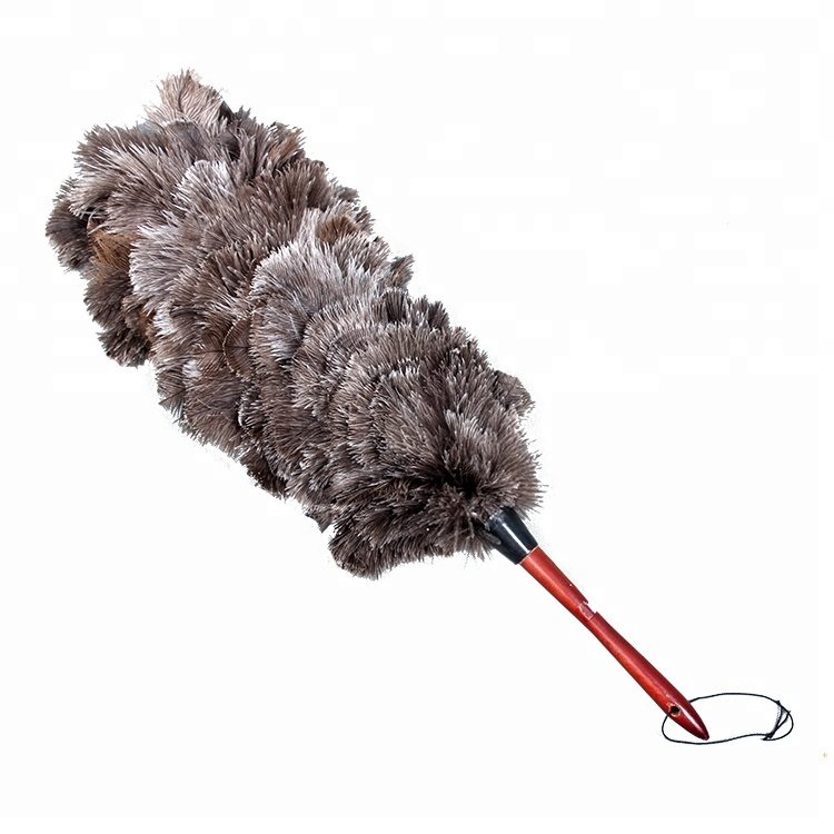 Ostrich-Feather-Duster-feather-cleaning-brush-with.jpg.55bbc6aa3b96685269815a65c0ebca97.jpg