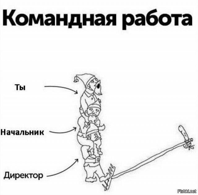 Коллектив мем