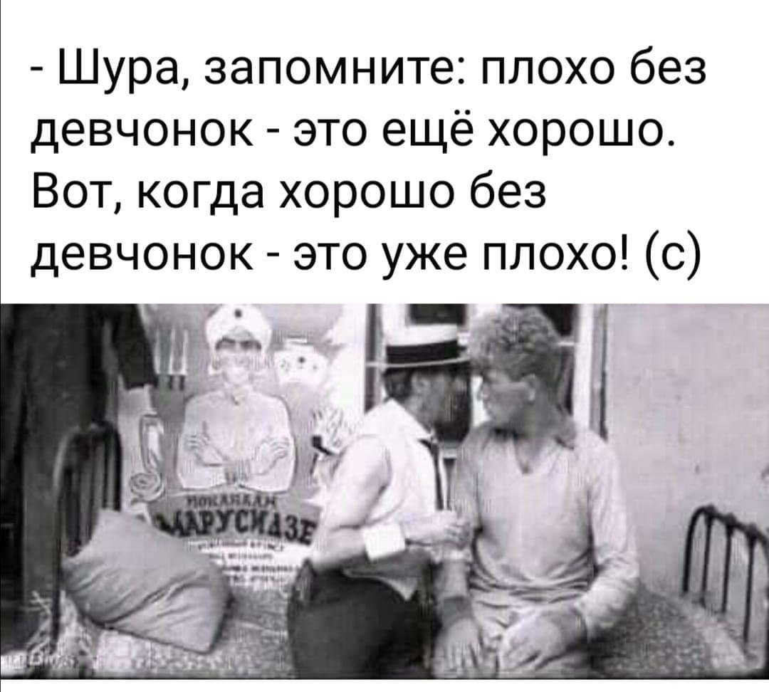 Шура не верь текст. Балаганов и Паниковский золотой теленок. Миронов золотой теленок Паниковский. Золотой теленок Шура Балаганов иллюстрации. Шура Балаганов и Паниковский.