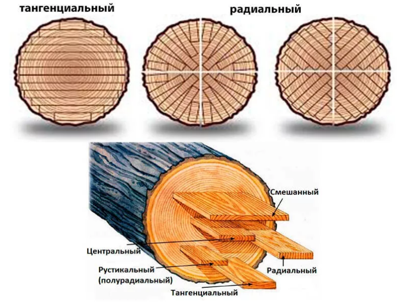 Как правильно делать срез. Радиальный и тангенциальный распил древесины. Радиальный и тангенциальный распил шпона. Тангенциальный распил древесины. Тангенциальный радиальный и поперечный срез.