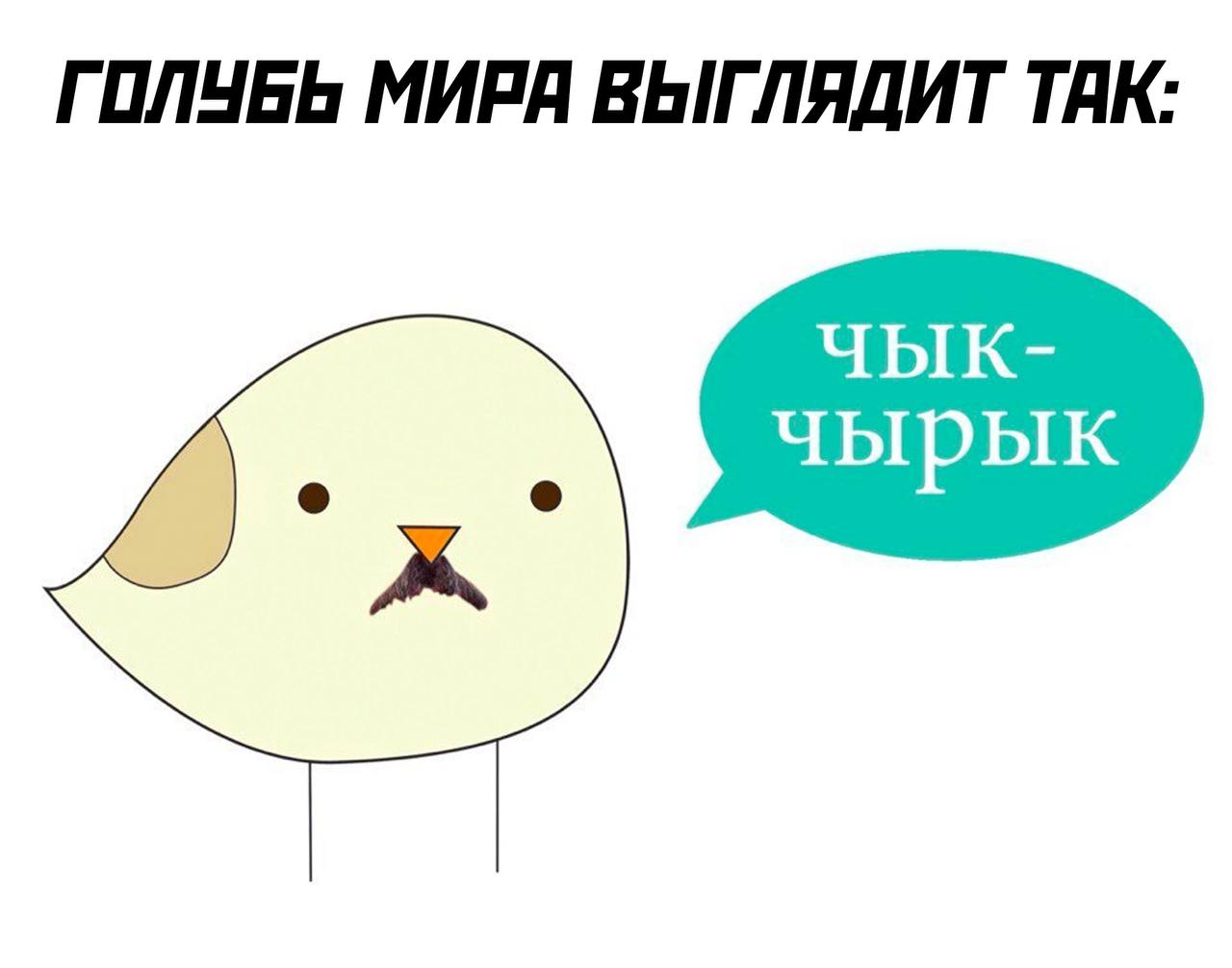 Как выглядит голубь мира