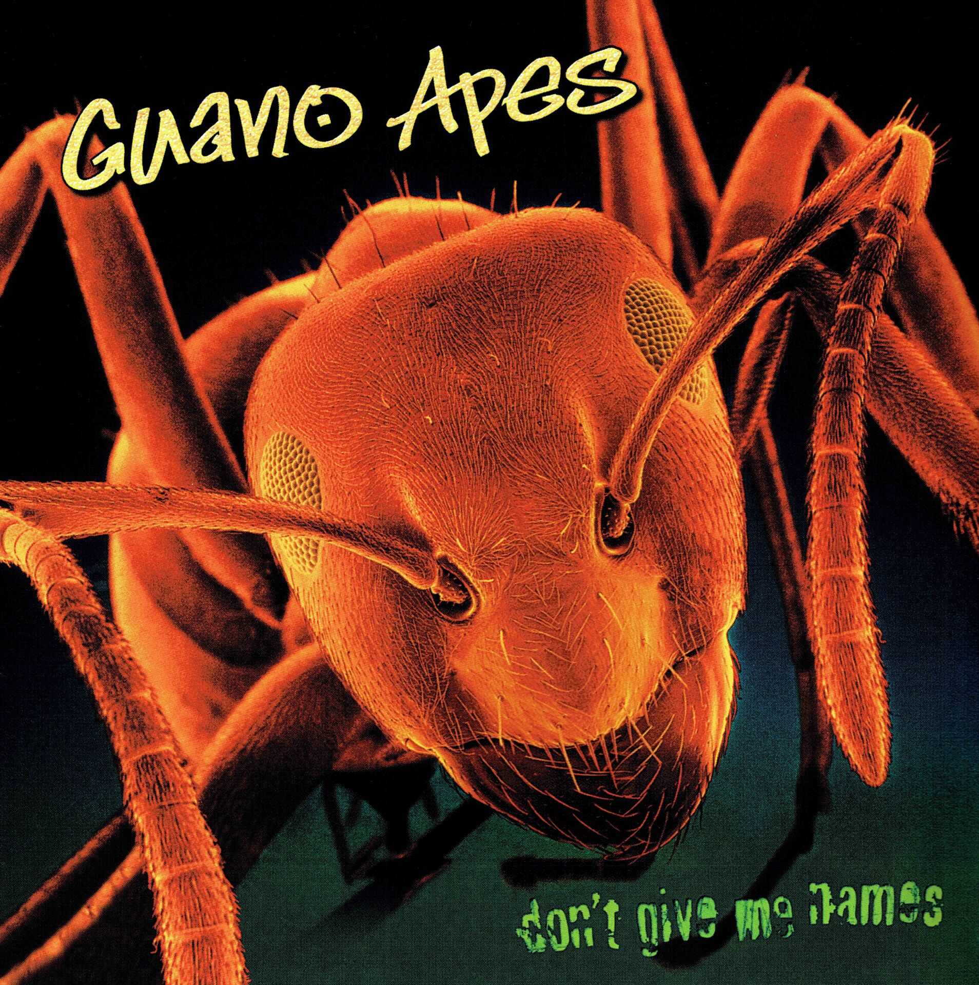 Give me t. Guano Apes обложки альбомов. Guano Apes 2000 don't give me names. Guano Apes обложка. 2000 - Don't give me names.