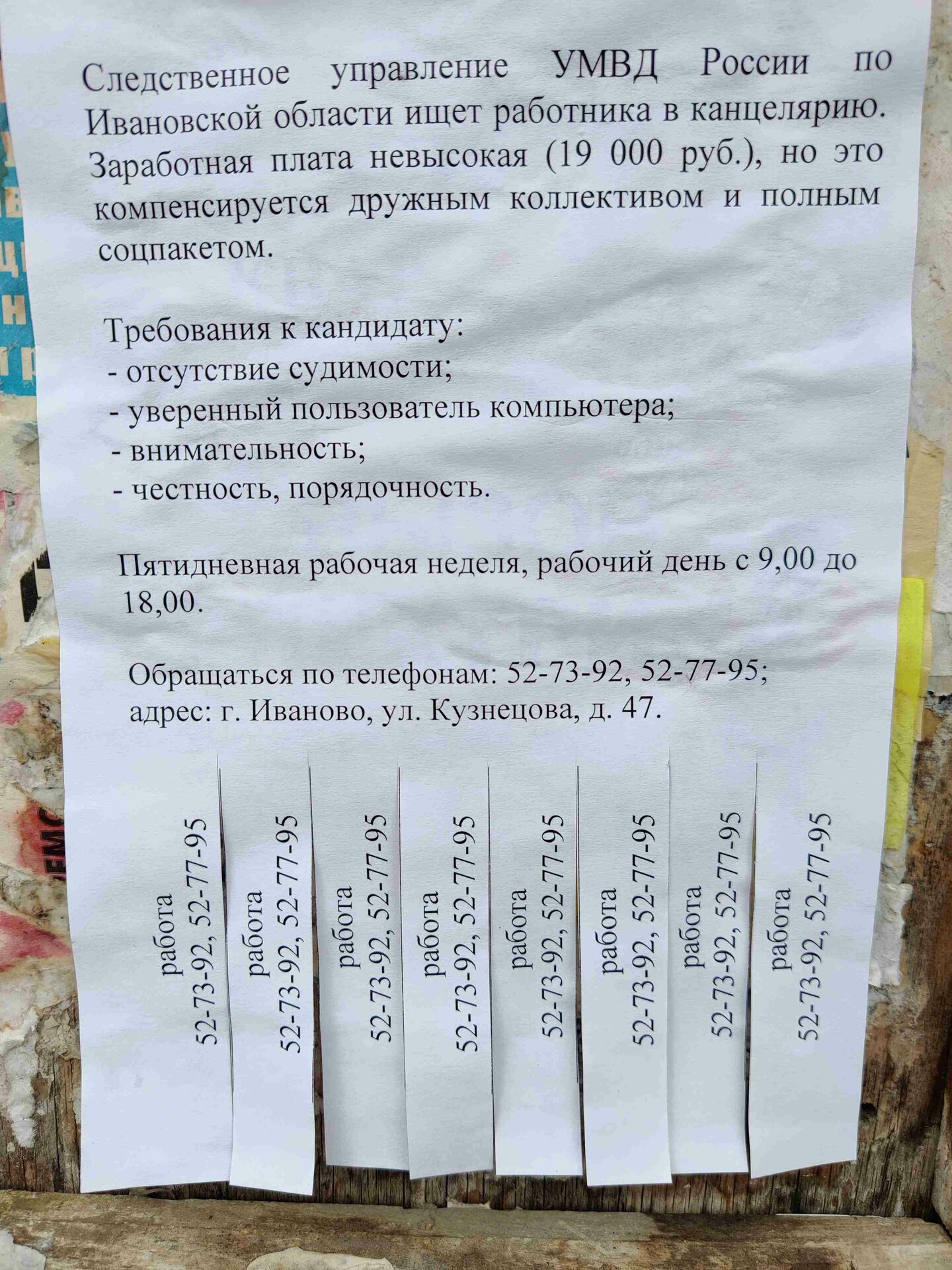 предложение.jpg