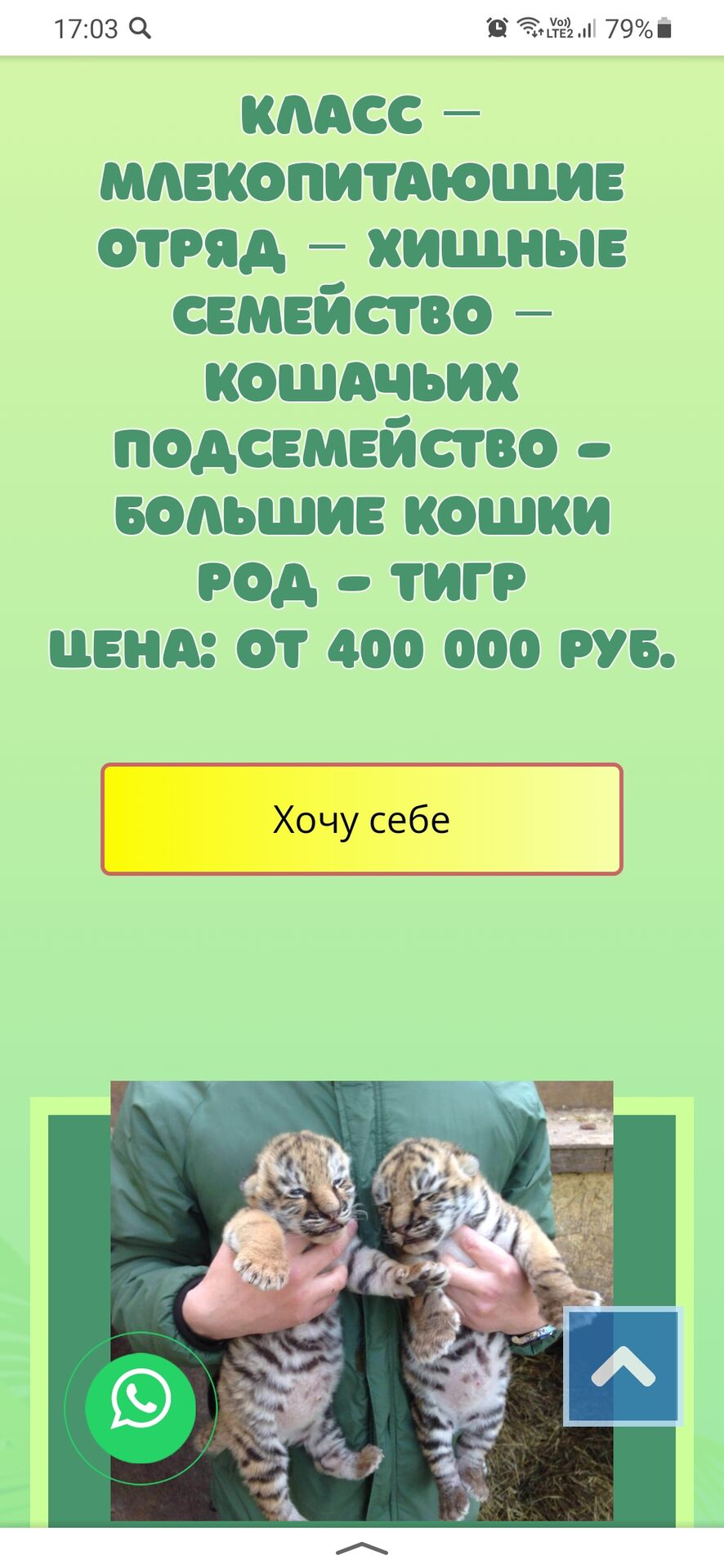 Screenshot_20240405-170322_Yandex Start.jpg