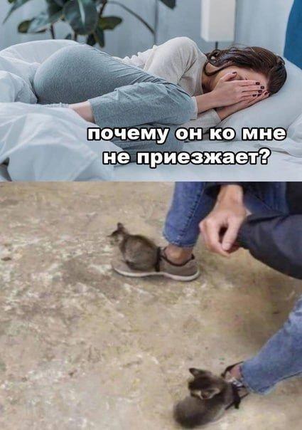 1682447771_16.jpg.56e7ed6b2dd2a38ca7e167d835031fc6.jpg