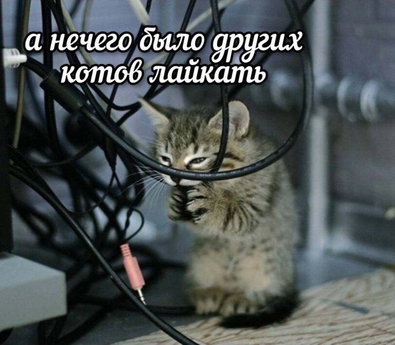 image.jpeg.43204d434c4496bf0fbea5e98de678e8.jpeg