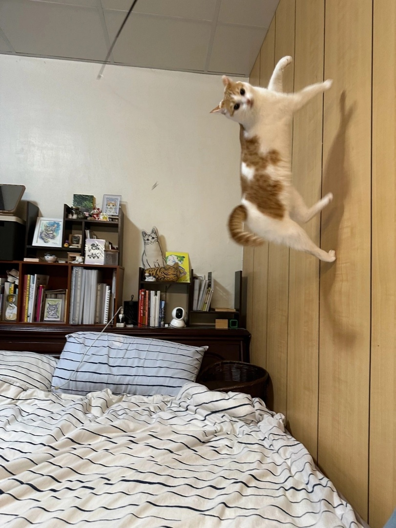 image.jpeg.ee0f4b5d6397d0c79b80e7068a603120.jpeg