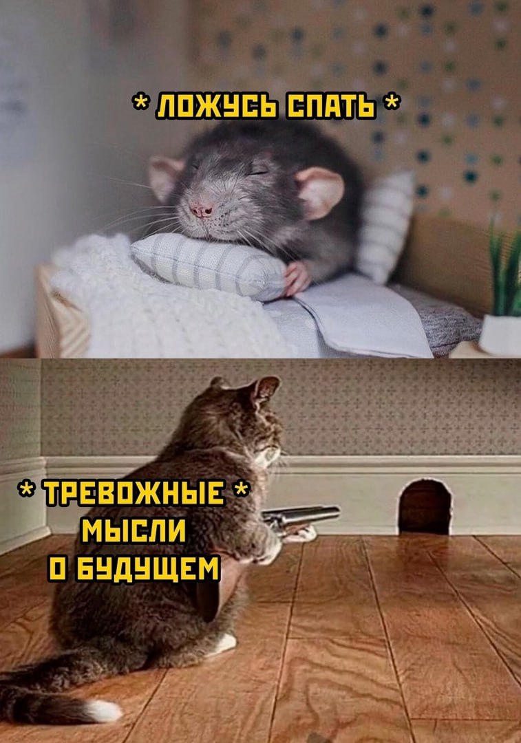 1000019135.jpg.e475d6b75c3b6216f13e65356e2ebfbb.jpg