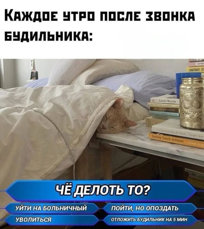 51f96a731730a2e96c35eb230fcb48da.jpg.8b31a7ddf7d677c355e318e8a0e75a59.jpg
