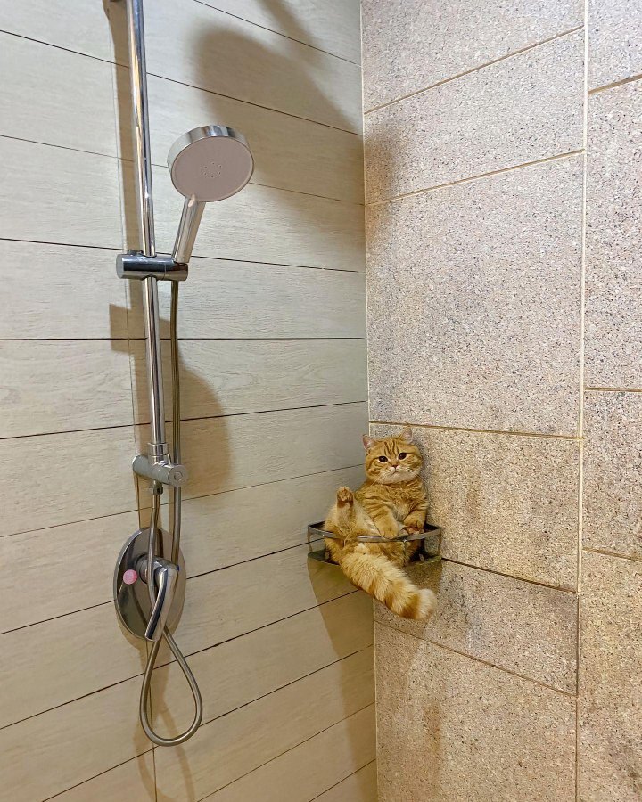 image.jpeg.e2ccaa3a3ad20d68a643dd10468fc52b.jpeg
