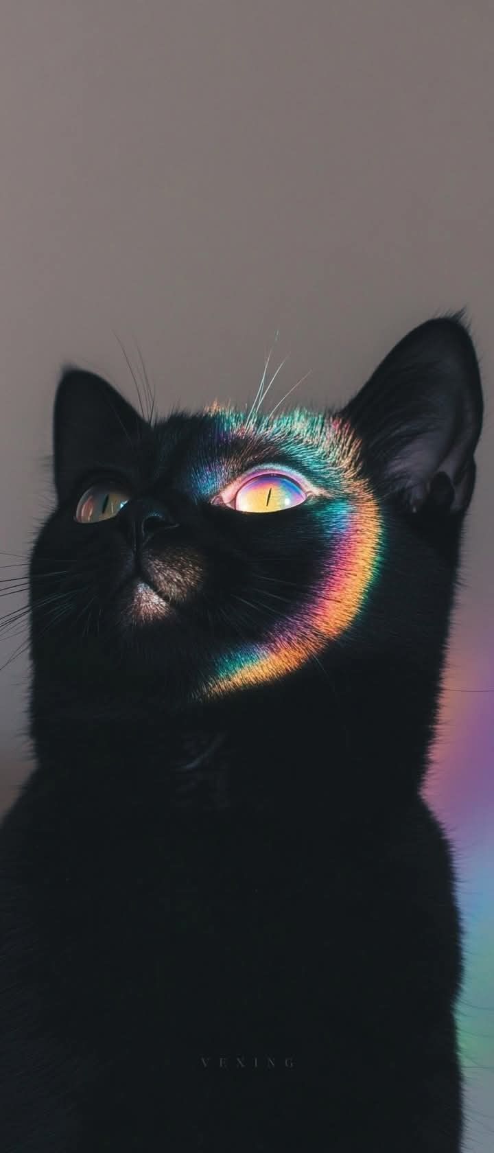image.jpeg.f32f9dae5ca7833d57cb9877101d8fd2.jpeg