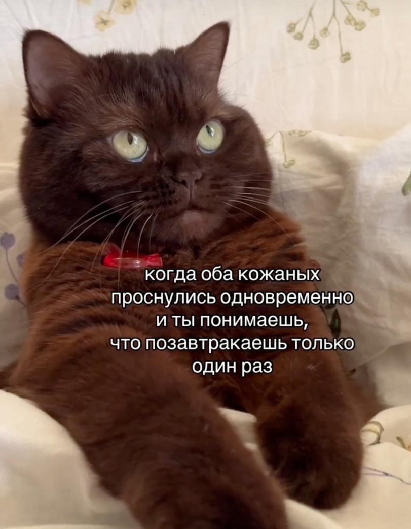 image.jpeg.fc8bdc02a81d933fb46ac87fa4e8bbdb.jpeg