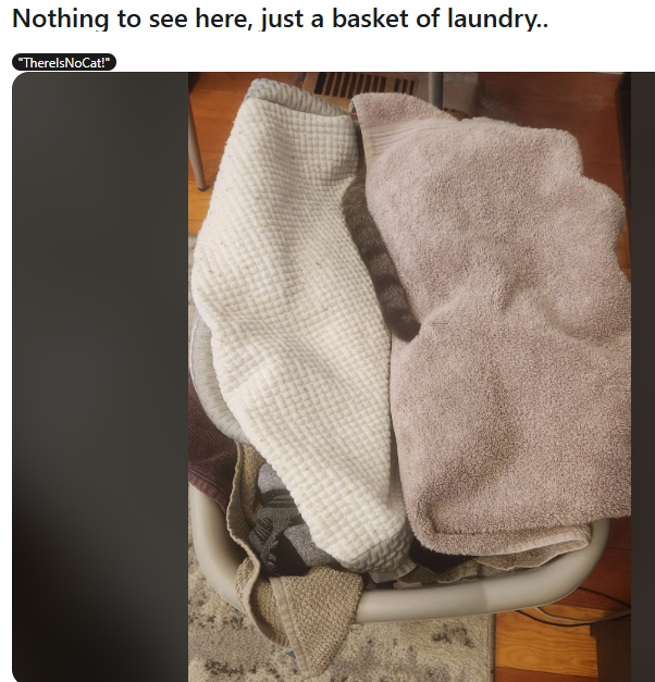 image.png.8807ca3337e003a76899c5c2f22676b0.png