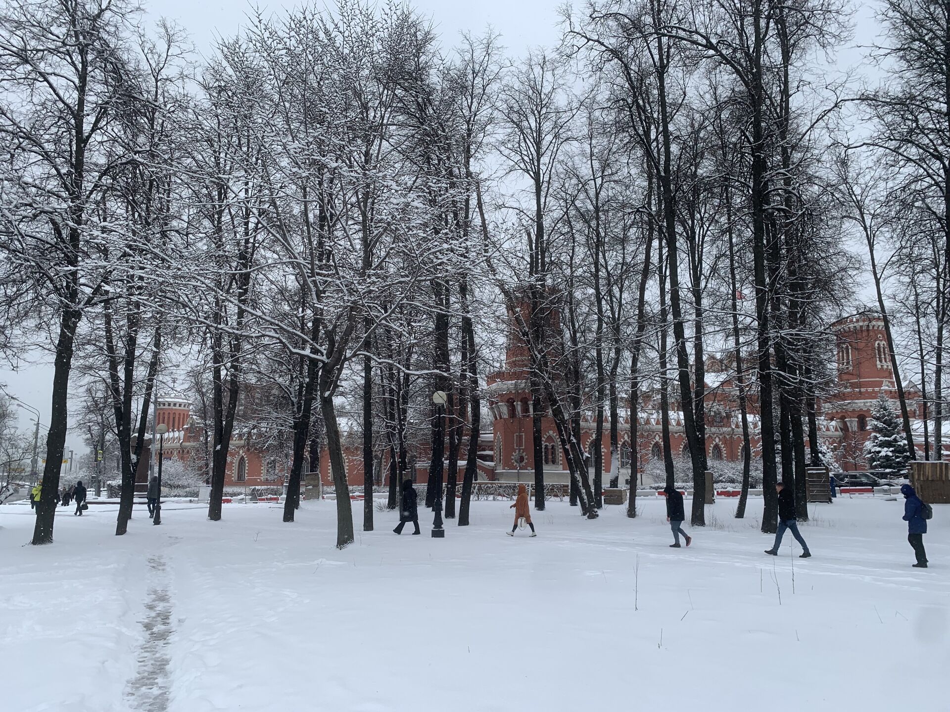 IMG_4805.jpeg