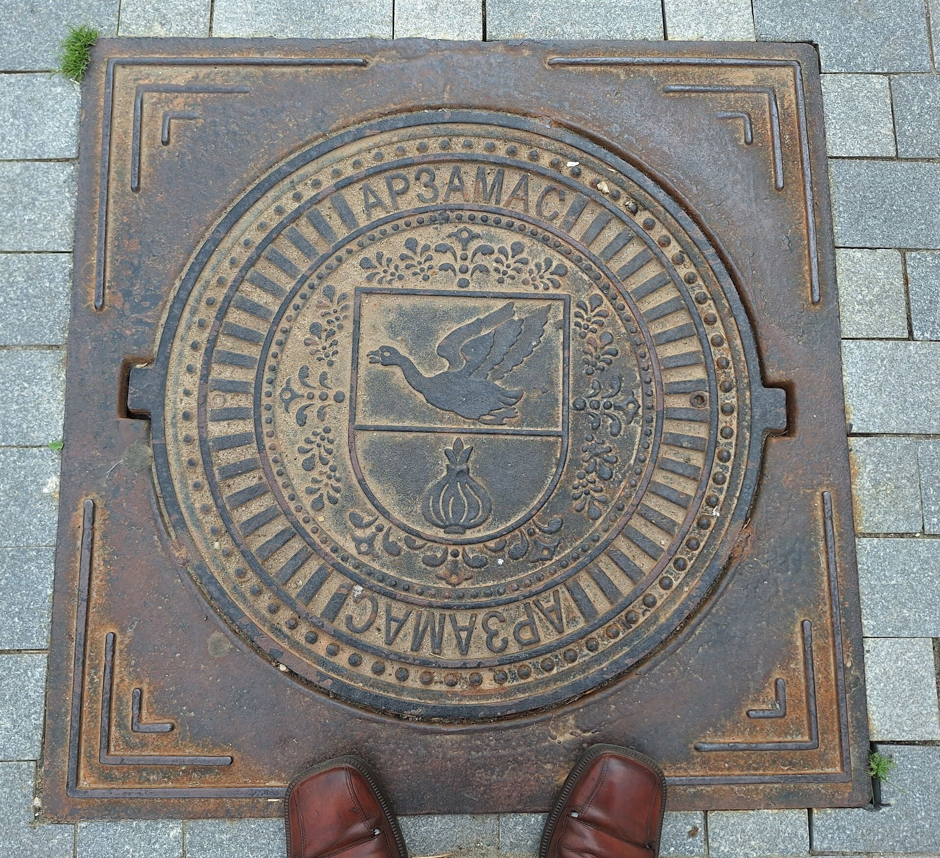 20250605_151851.jpg